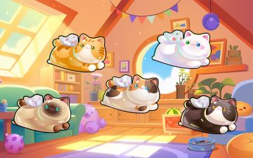 猫猫碌碌寻宝藏~