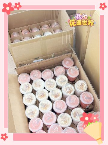 🎁 宠粉计划｜种花送真花 还送奶茶？