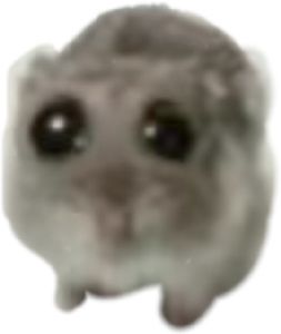 《背包英雄》关于“坏档”、“点击无反应”的问题说明