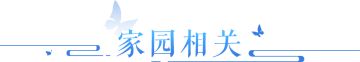 家园模板、百相、侠侣搬家疑问解答！>>点击查看本周答疑