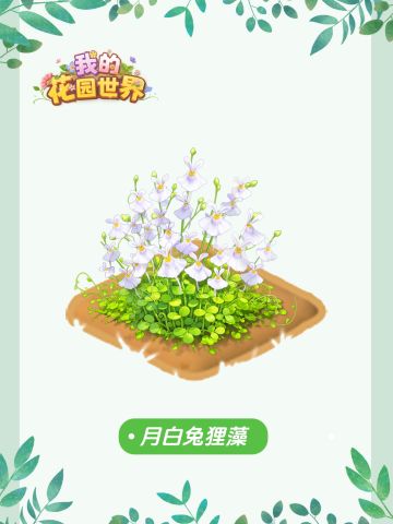 内含兑换码🎁丨密令焕新 繁花赴春