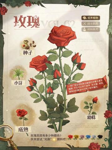 魔法植物图鉴丨观赏？战斗？做材料？讲究的就是一个一应俱全！