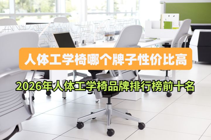人体工学椅哪个牌子性价比高 2026年人体工学椅品牌排行榜前十名截图