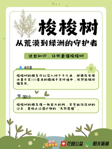 花园里的沙漠卫士，从荒漠到绿洲的守护者