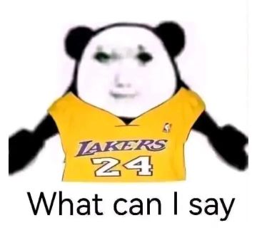 洞府问题解决方案