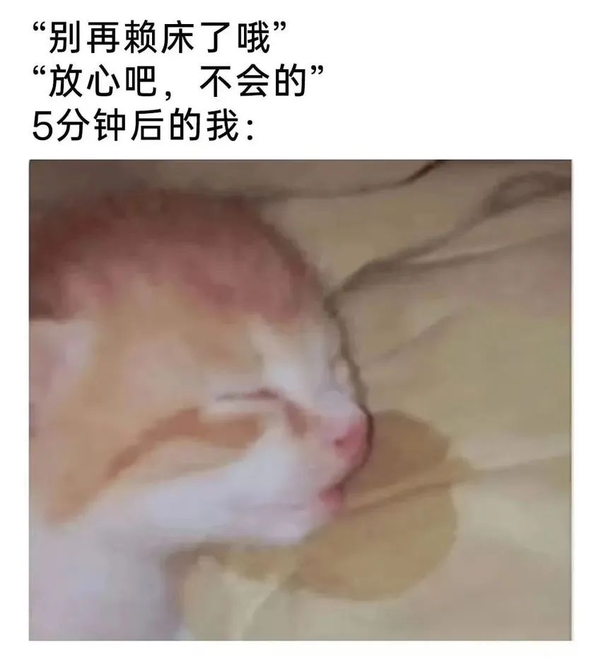 ✨今日份梗图分享第四十期✨ 3