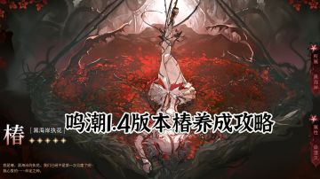 鸣潮1.4版本椿养成攻略
