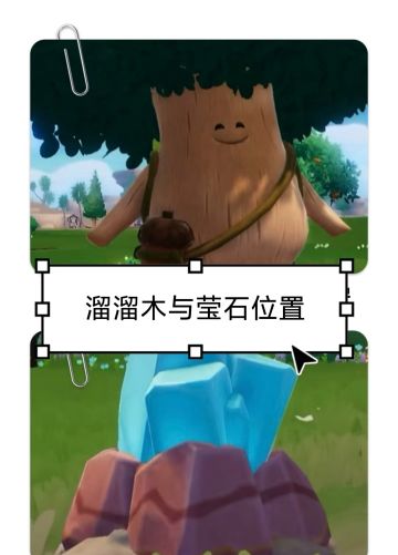 【心动小镇】6.23日溜溜木与莹石位置来咯