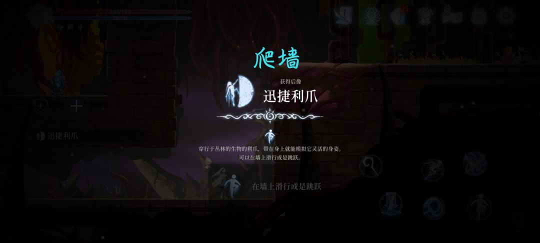 细雨森林 2