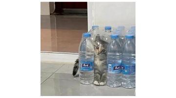 小氪V6左右如何经营好自己的游戏（新区第一周）