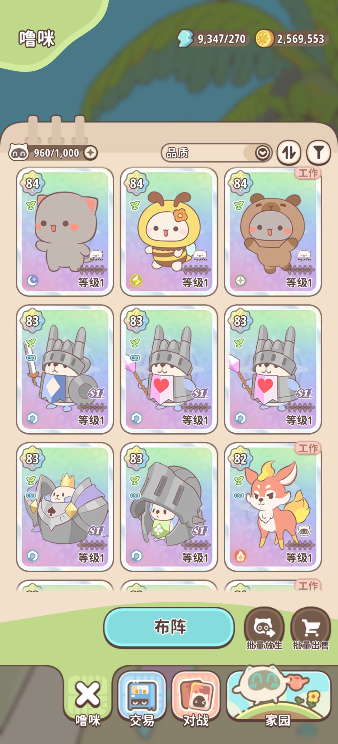 请教编队 6