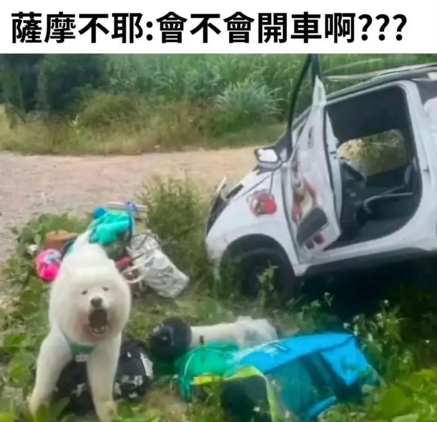✨今日份梗图分享第四期✨ 2