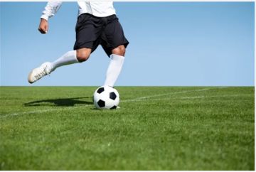 足球天才之球员介绍（伊卡尔迪）