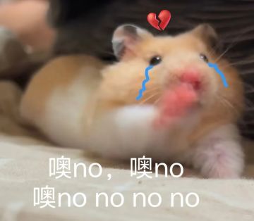 【新区公告】天启-黎明守望（安卓IOS混服）来袭！