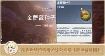 【隐藏任务】金蔷薇种子 全流程解析