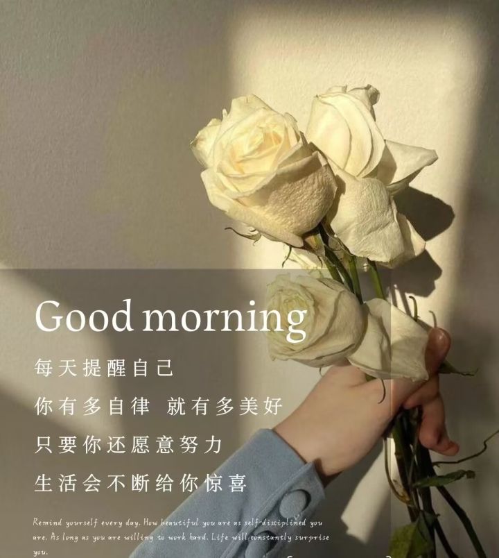 最近也太无聊了吧有没有什么游戏推荐一下有没有什么单机游戏的那种截图