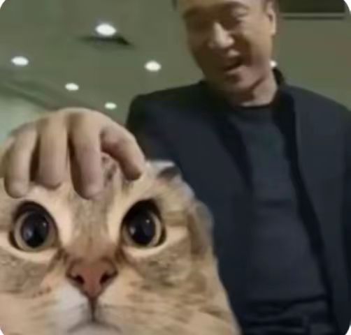 看画风挺好看的怎么评分这么低 1
