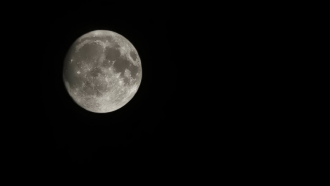 对着中秋的月亮许个愿望吧🌙 2