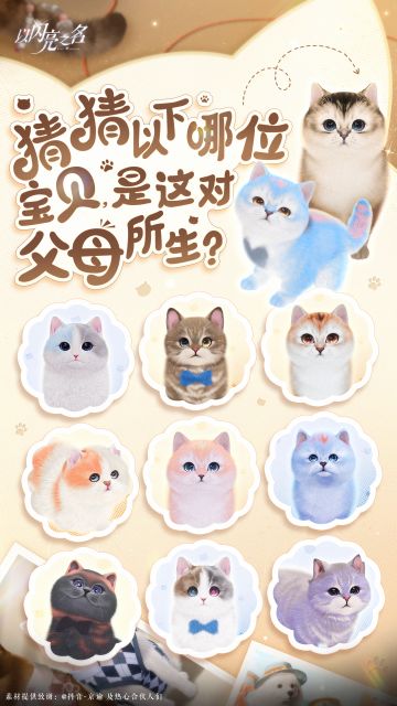 上难度！来点赛博DNA鉴定的活儿！