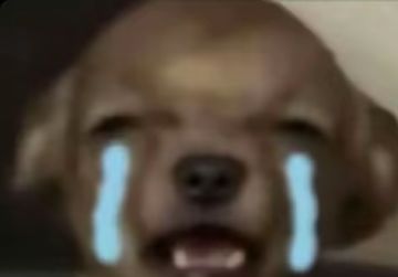 勇者城的偷狗秘闻