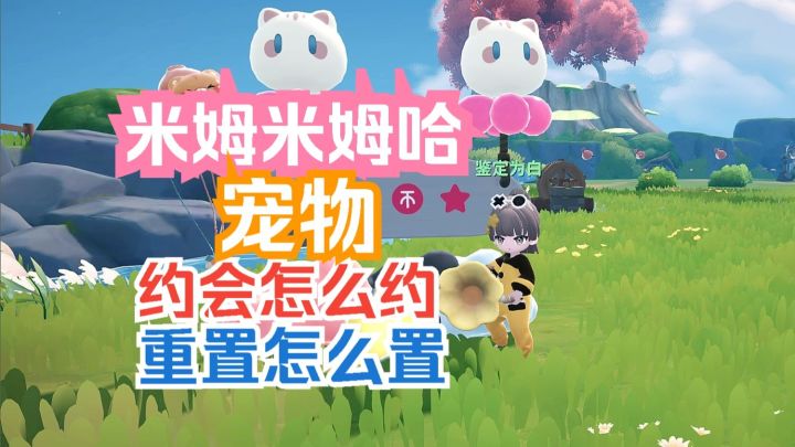 米姆米姆哈 宠物约会怎么约 宠物重置怎么置截图