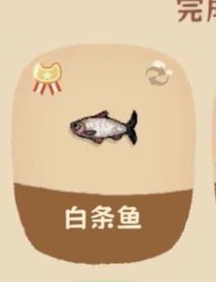 白条鱼是不是有两种形态 1