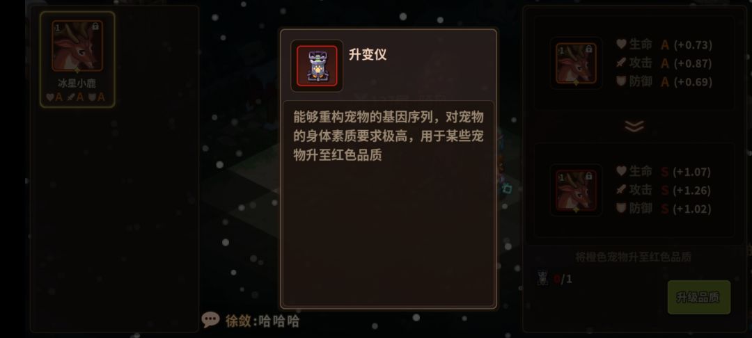 宠物升红色 1
