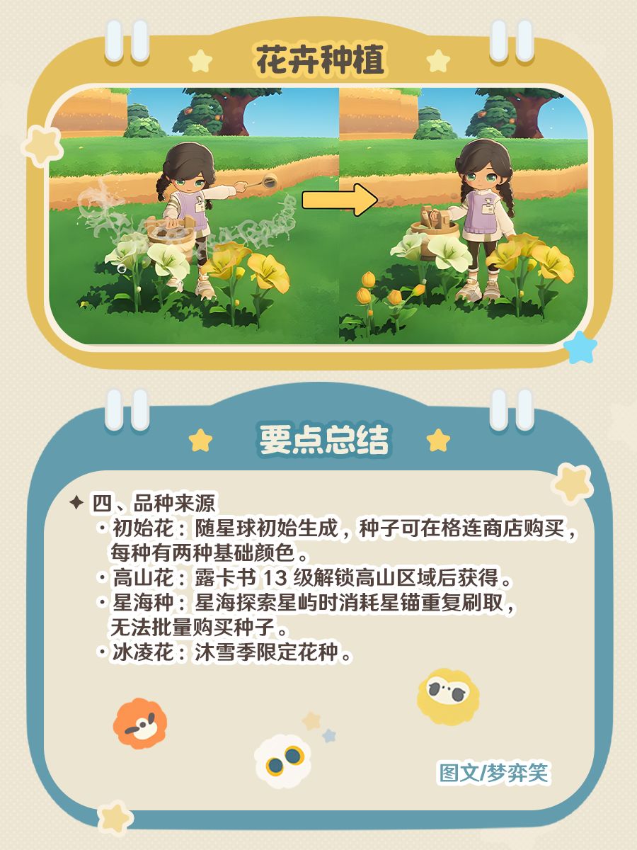 「星布谷地」异色花要点总结 5