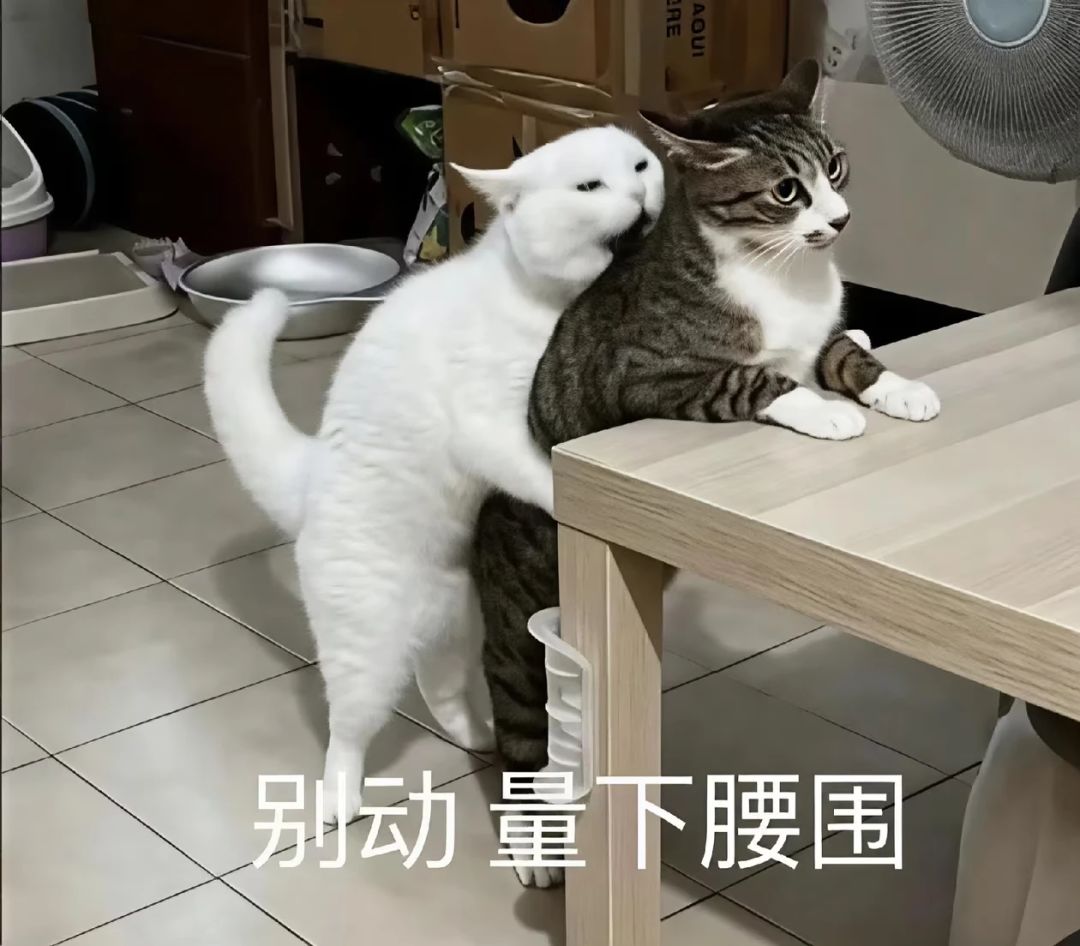 想问各位大佬一个问题 1