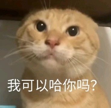 老哥们,21带太白还是双手截图