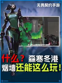 职业同款森寒冬港几种常用烟墙！