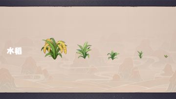 从种植到端上餐桌🌾