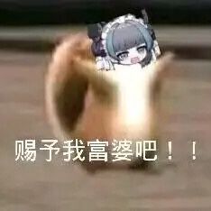 猫猫表情包2.0 3