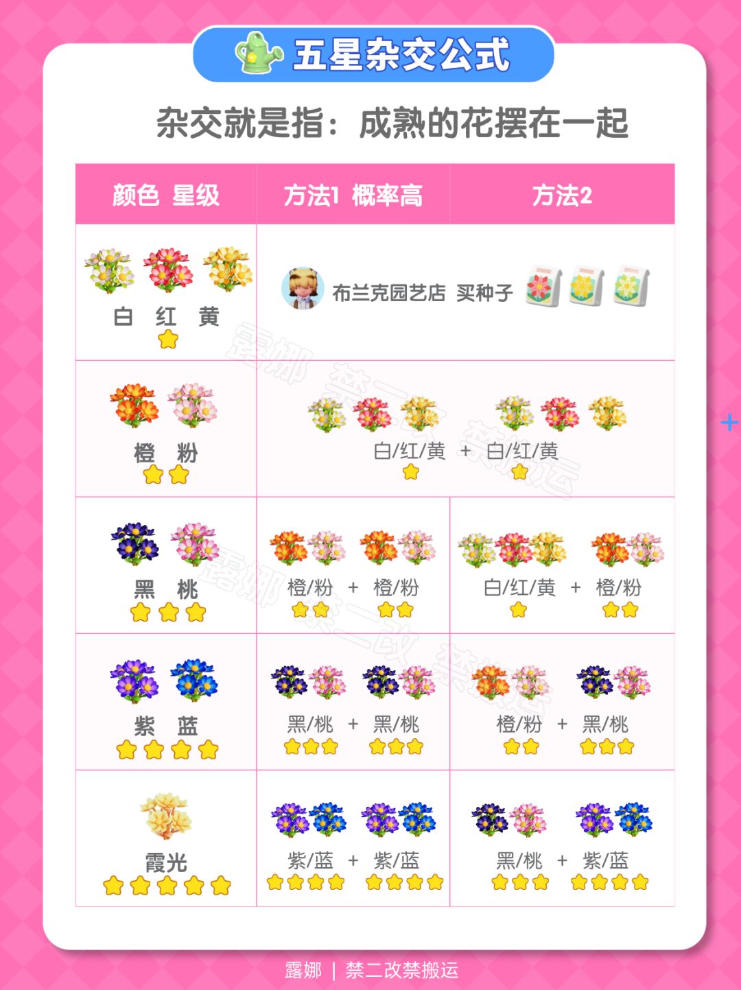 大花木百合 杂交教程 五星攻略 摆放推荐 4