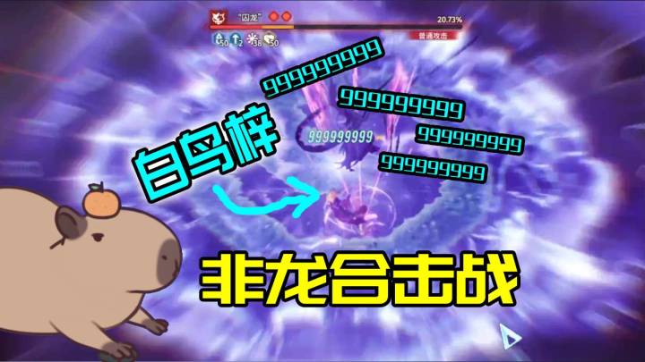 【白荆回廊】白鸟梓非龙合击战999999999截图