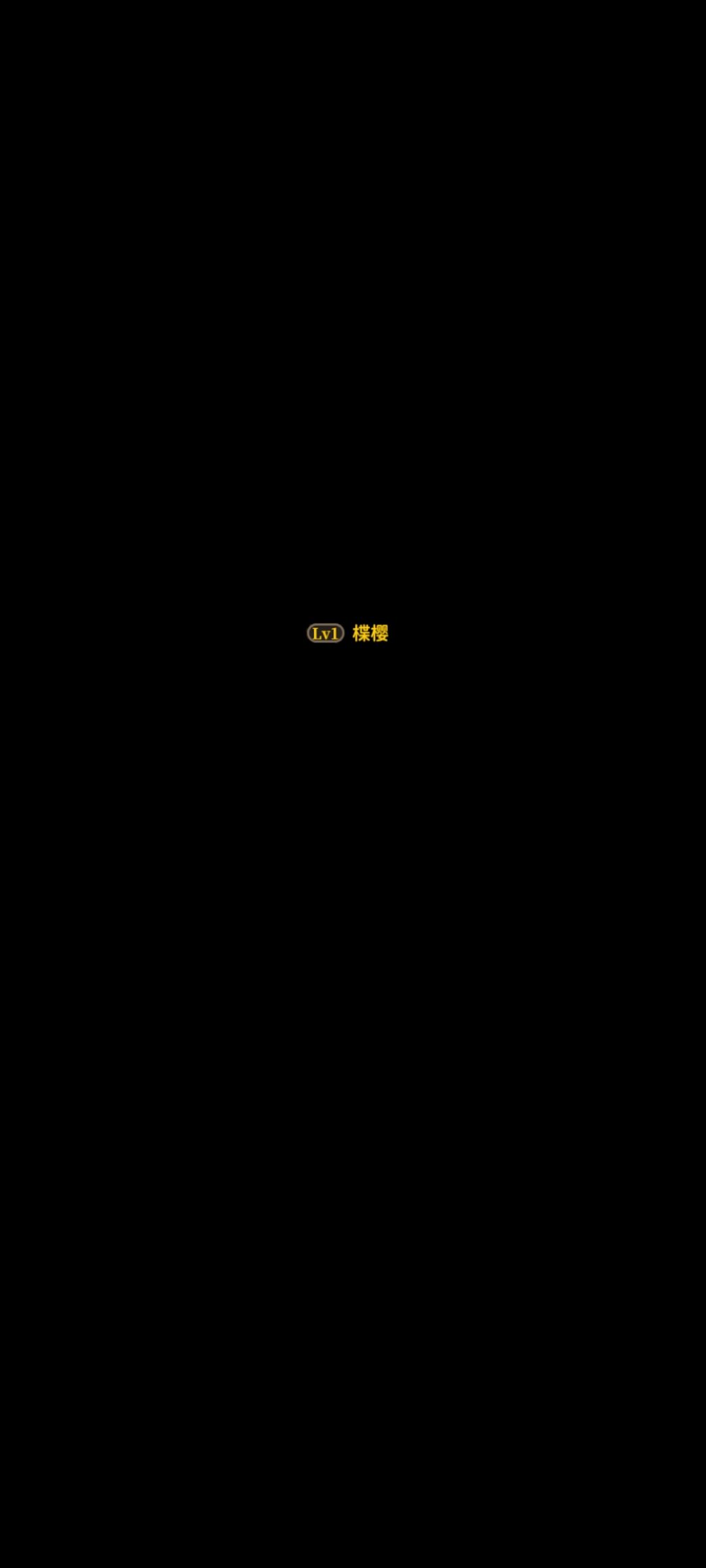 进去就黑屏 1