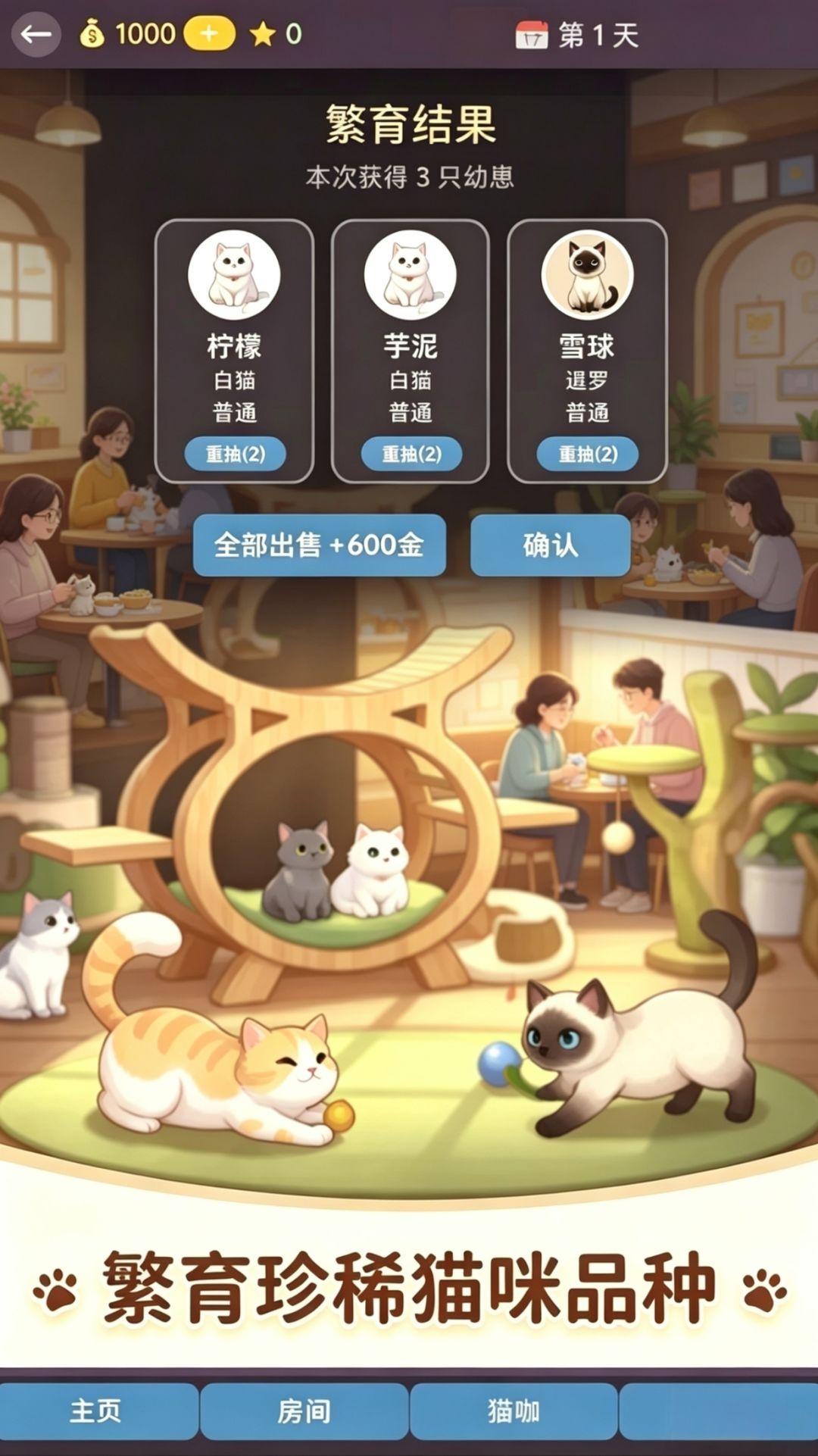申请计划三《猫咖模拟器》 2