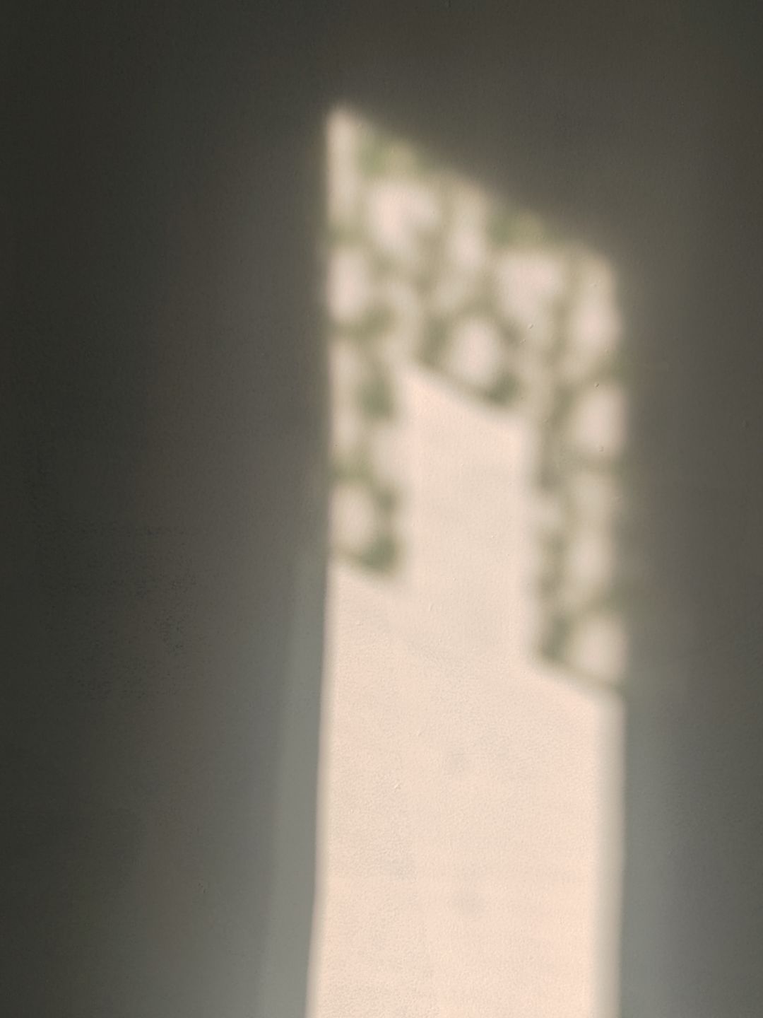 有没有知道这是什么光影的? 2