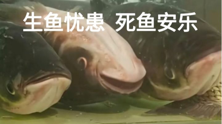 18届华一KTL不再截图