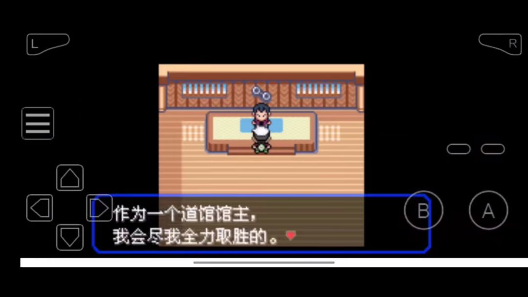 宝可梦究极绿宝石5.5 手机能玩 1