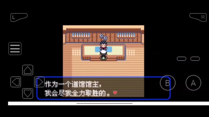 宝可梦究极绿宝石5.5 手机能玩截图