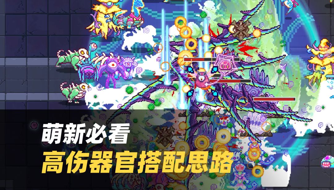 器官搭配错=没伤害🆘新手必看的高伤搭配攻略截图