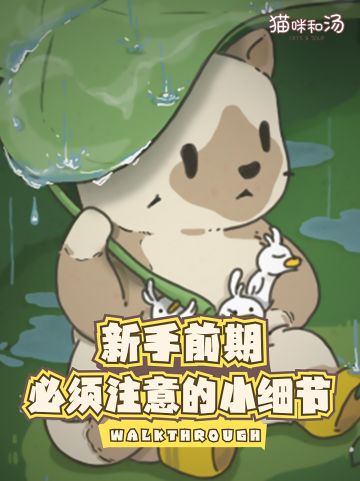 猫咪和汤，几个你必须注意的小细节