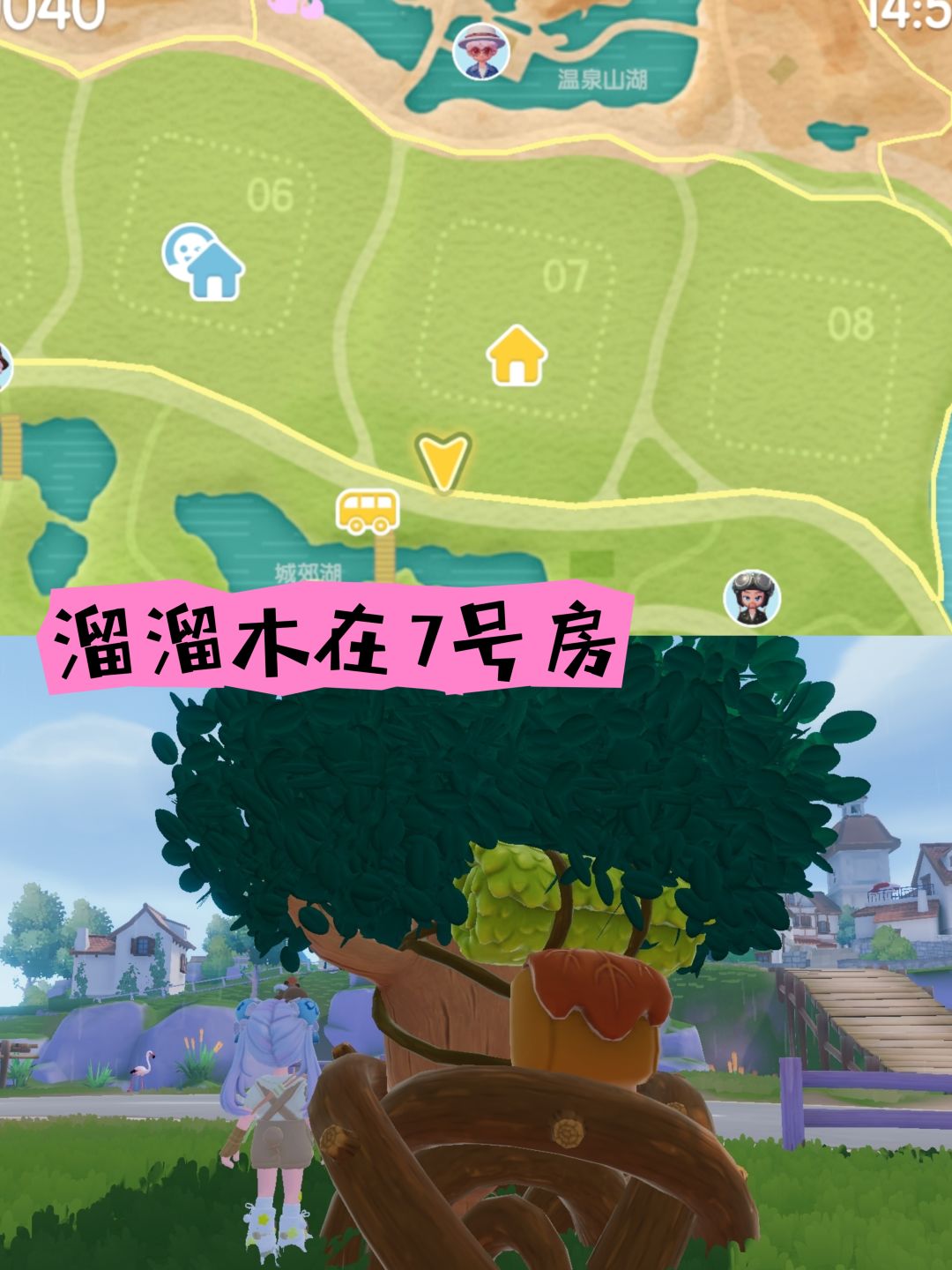 动态图片 6