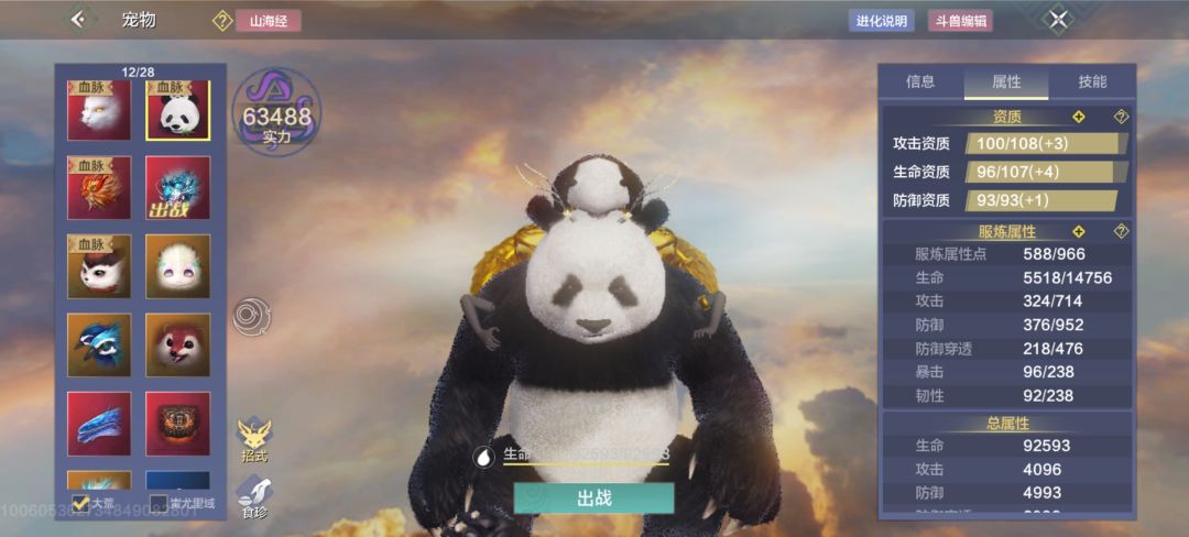 宠物先养哪个好一点 1