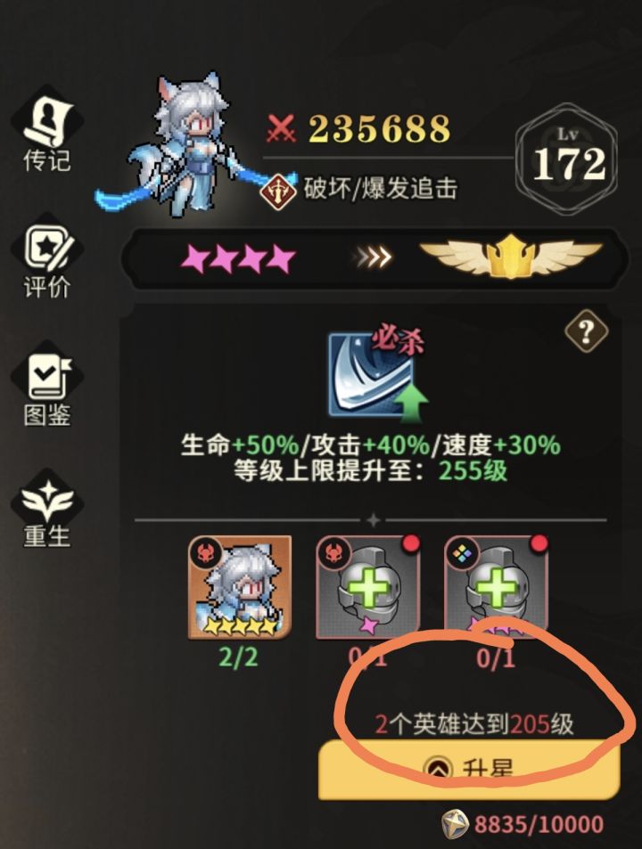请问这个两个英雄达到205级怎么理解？截图