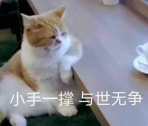 微氪重剑玩家的未来在哪里 1
