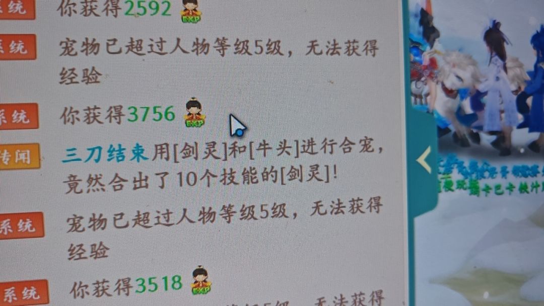 太爽了! 2
