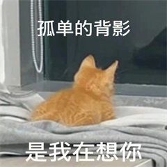 吢裡の痛,該給誰講、涐眞の承綬卟起。 1