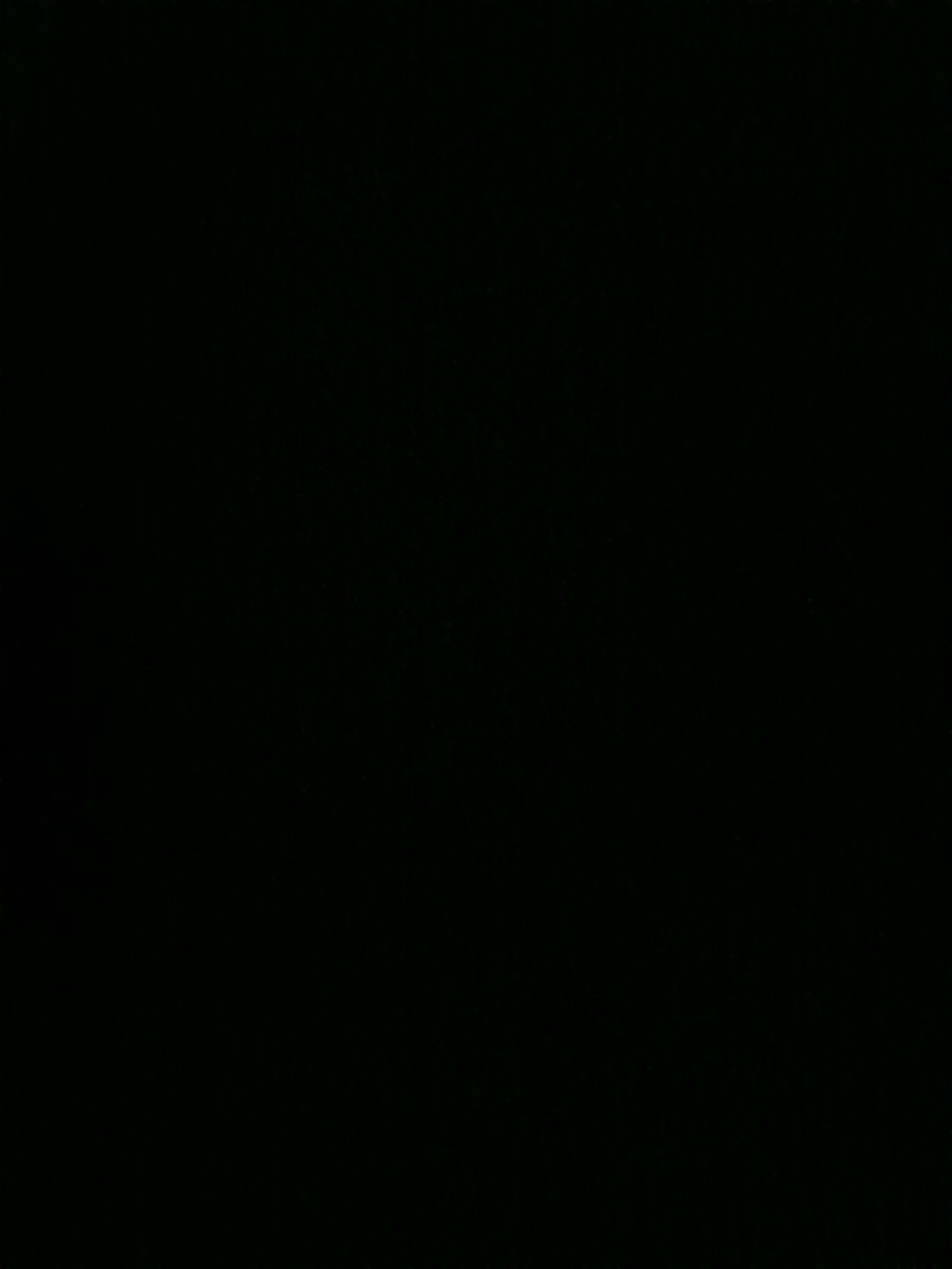 这游戏能不能开四个角色 1